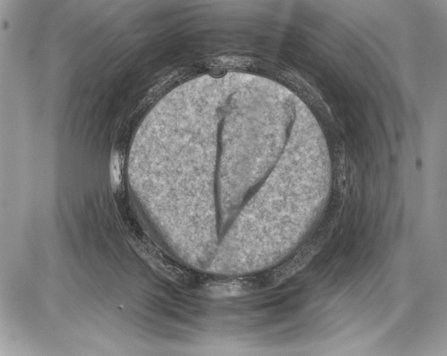 X0000085730075200704131630