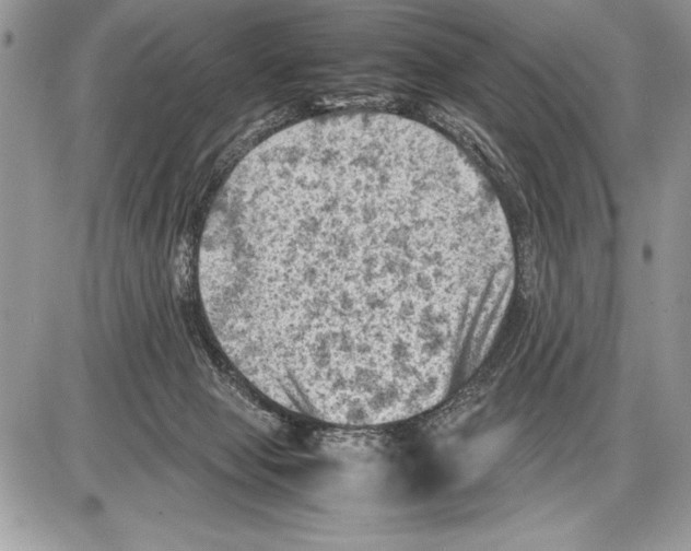 X0000085730077200704131630