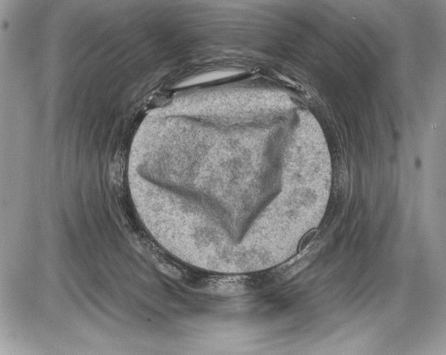 X0000085730078200704131630