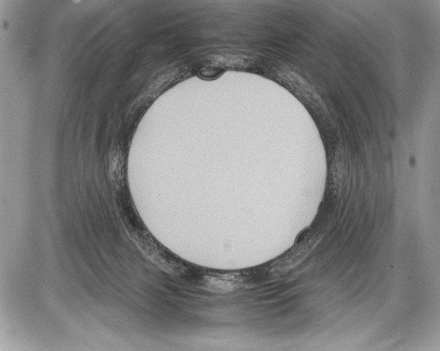 X0000085730079200704131630