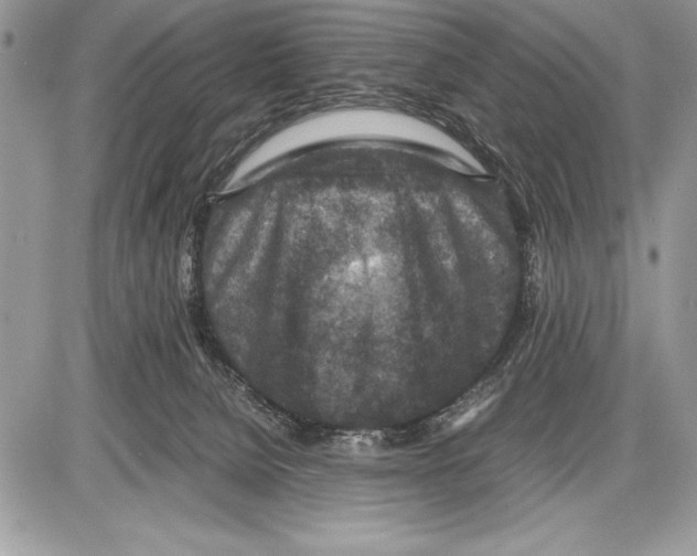 X0000085730080200704131630