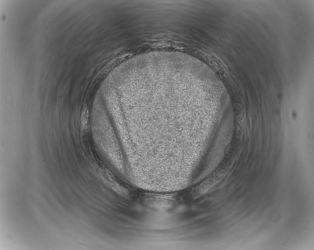 X0000085730081200704131630