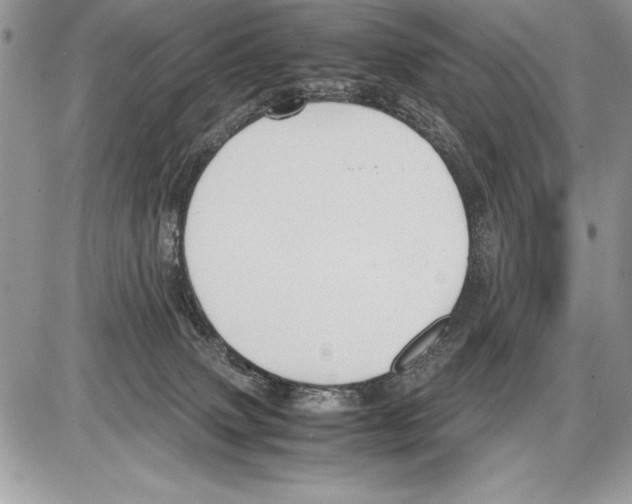 X0000085730083200704131630