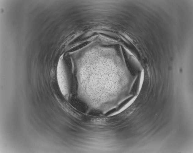 X0000085730084200704131630