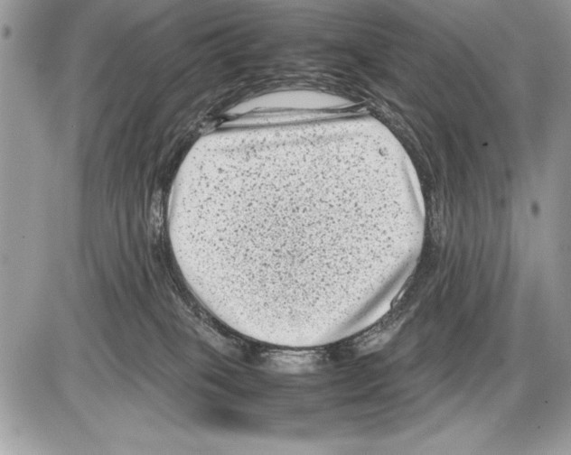 X0000085730085200704131630