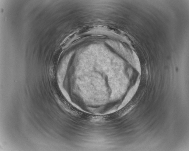 X0000085730088200704131630