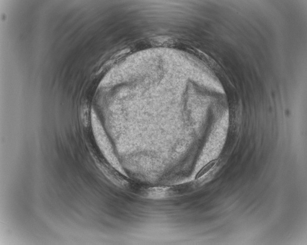 X0000085730090200704131630