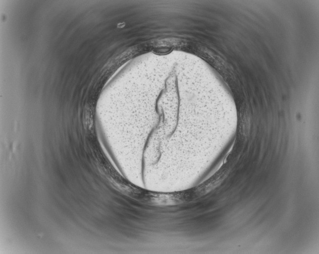 X0000085730091200704131630