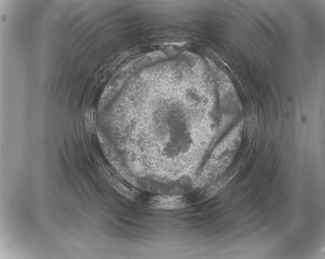 X0000085730093200704131630