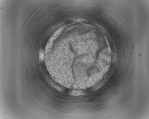 X0000085730095200704131630