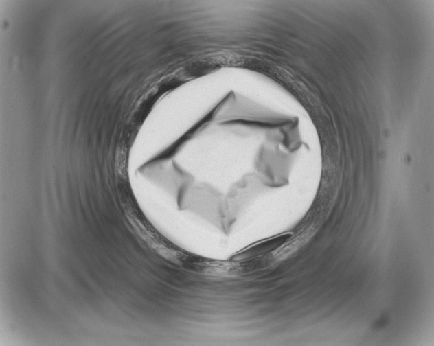 X0000085730096200704131630