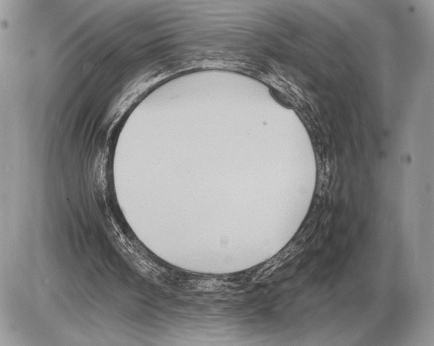 X0000085730098200704131629