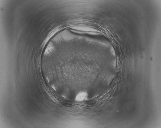 X0000085730099200704131629