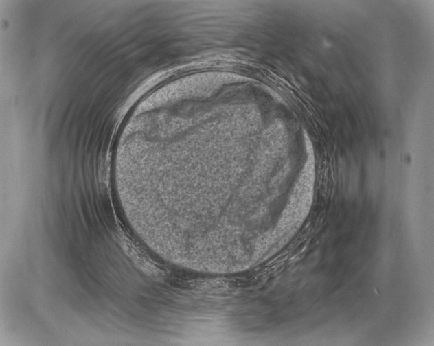 X0000085730100200704131629