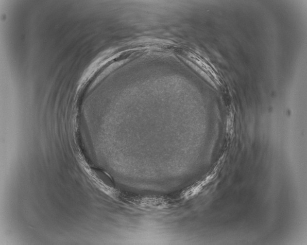 X0000085730101200704131629