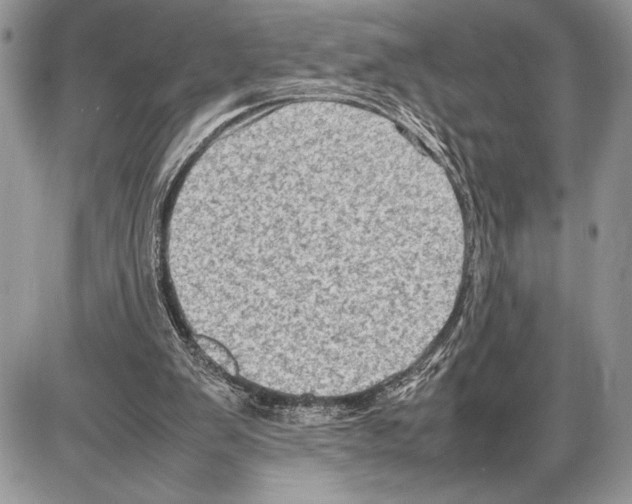 X0000085730103200704131629