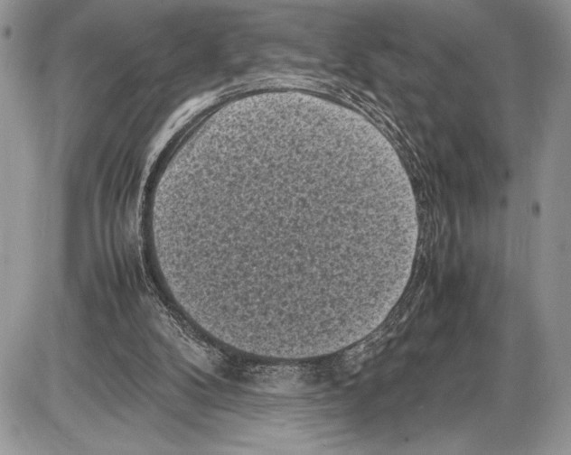 X0000085730104200704131629