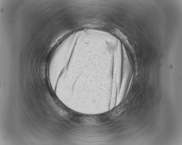 X0000085730106200704131629