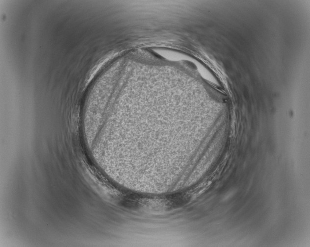 X0000085730107200704131629