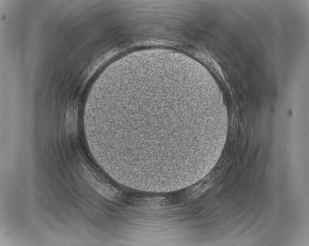 X0000085730108200704131629