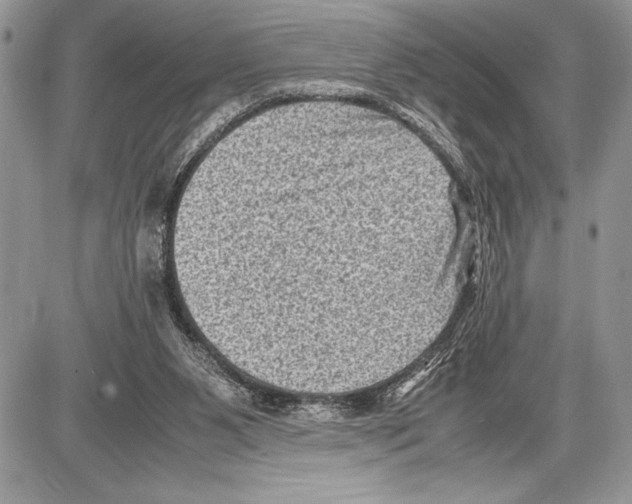 X0000085730111200704131629