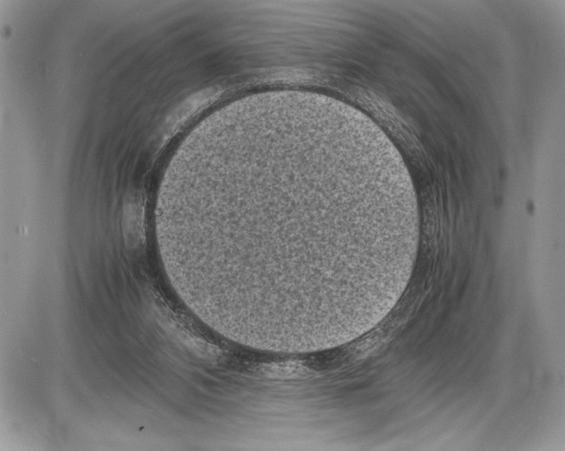 X0000085730112200704131629