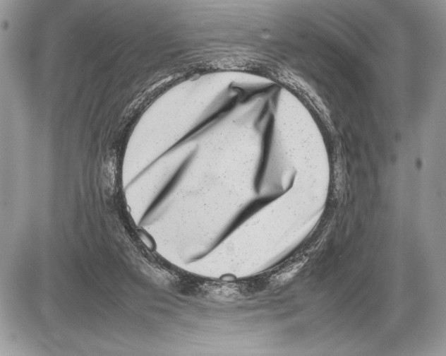 X0000085730113200704131629