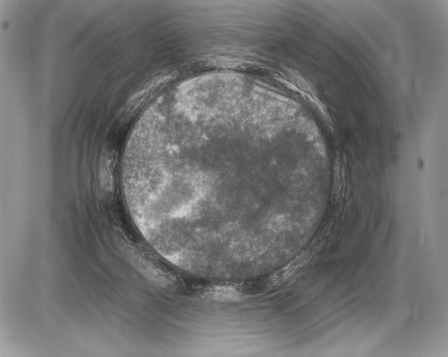 X0000085730114200704131629