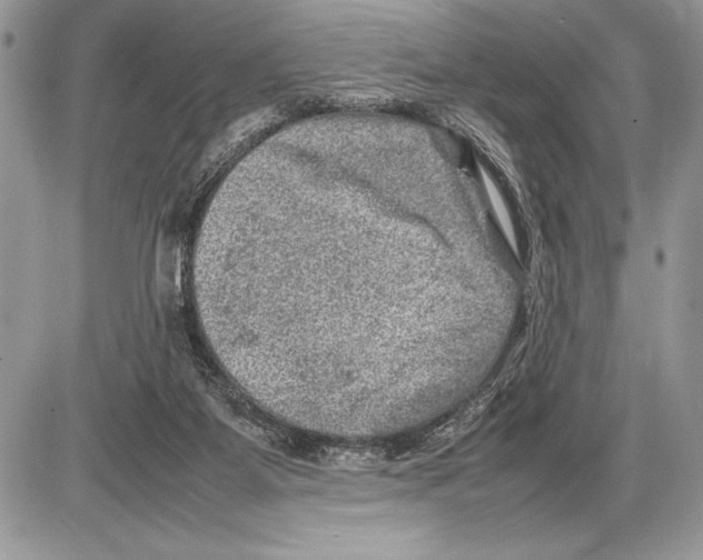 X0000085730115200704131629