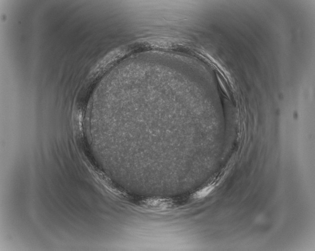 X0000085730117200704131629