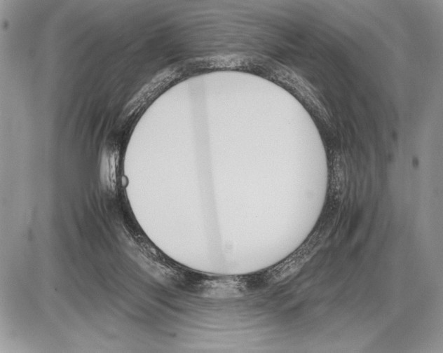 X0000085730118200704131629