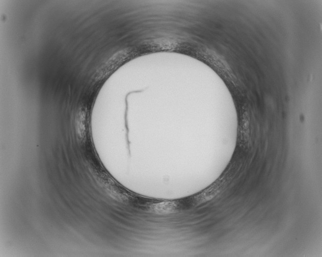 X0000085730122200704131629