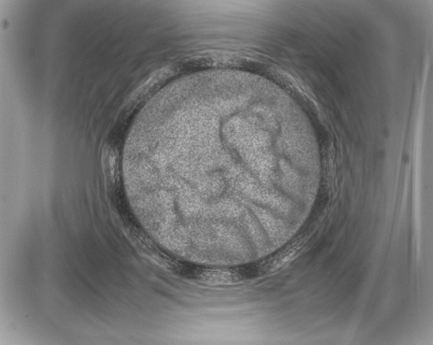 X0000085730123200704131629