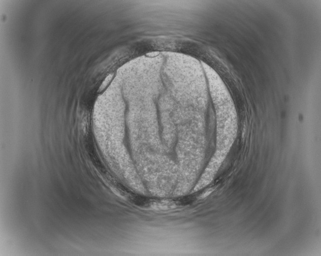 X0000085730125200704131629