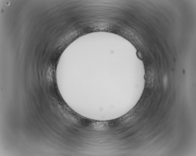 X0000085730126200704131629