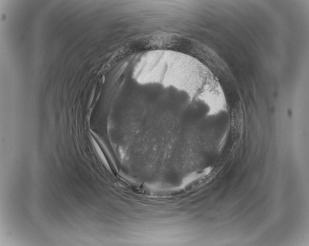 X0000085730127200704131629