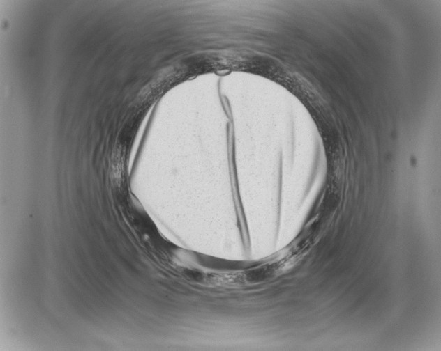 X0000085730129200704131629