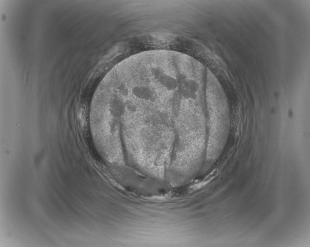 X0000085730131200704131629