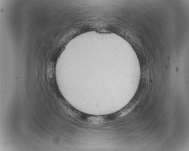 X0000085730133200704131629