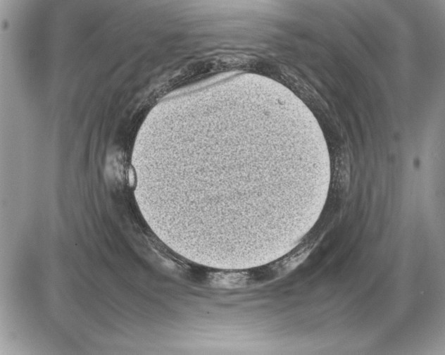 X0000085730135200704131629