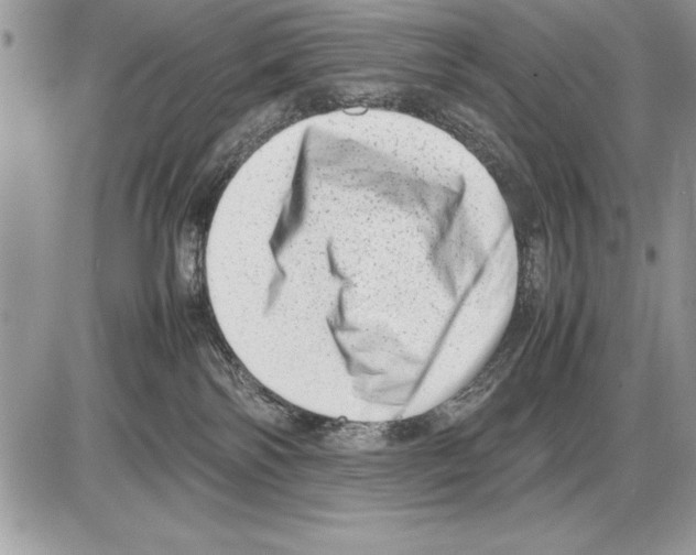 X0000085730138200704131629