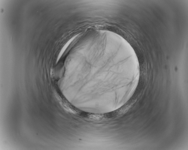 X0000085730139200704131629