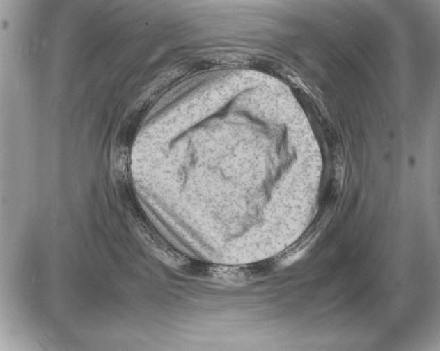 X0000085730141200704131629