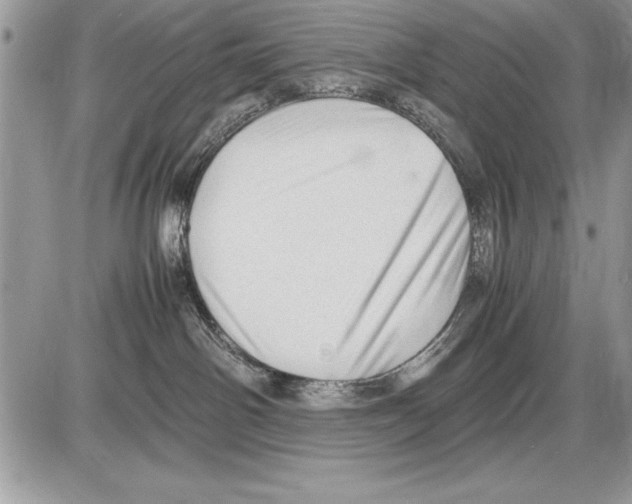 X0000085730142200704131629