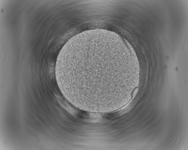 X0000085730144200704131629