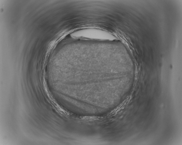 X0000085730145200704131628