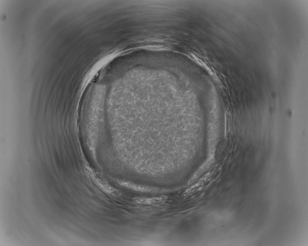 X0000085730147200704131628