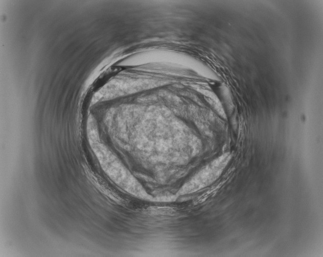 X0000085730150200704131628