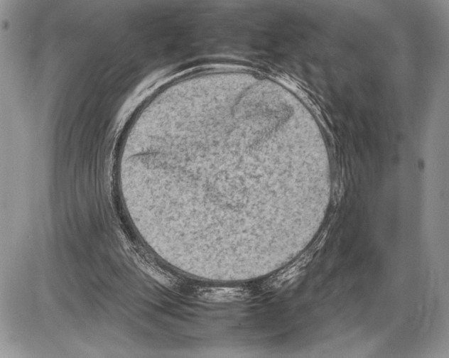 X0000085730151200704131628