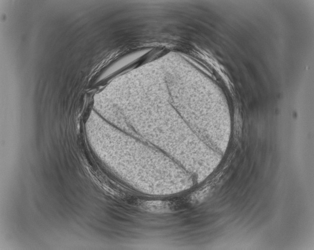 X0000085730153200704131628